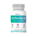 Berberine plus Daily Essential Dietary Supplement - 60 Gentle Natural Botanical Extract Capsules for Everyday Wellness, Vitality & Balance Support